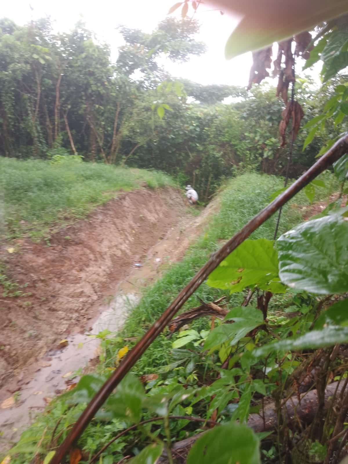 La ruta del mercurio: el metal tóxico que cruza de Nicaragua a Costa Rica oculto en goteros para los ojos