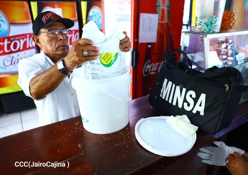 Alerta mundial: qué distingue al hantavirus de la leptospirosis en Nicaragua