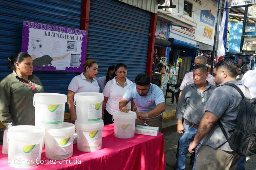 Alerta mundial: qué distingue al hantavirus de la leptospirosis en Nicaragua