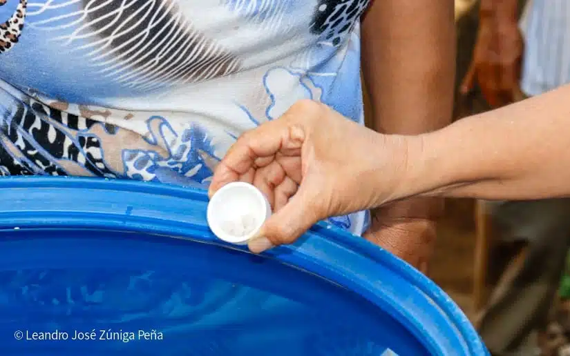 Natular: qué sabemos del nuevo larvicida que usa el Minsa contra el dengue