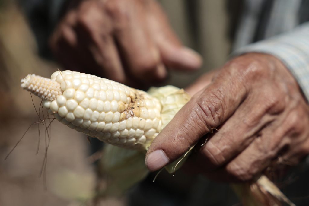 Centroamérica: cuando el mercado llegó antes que las instituciones