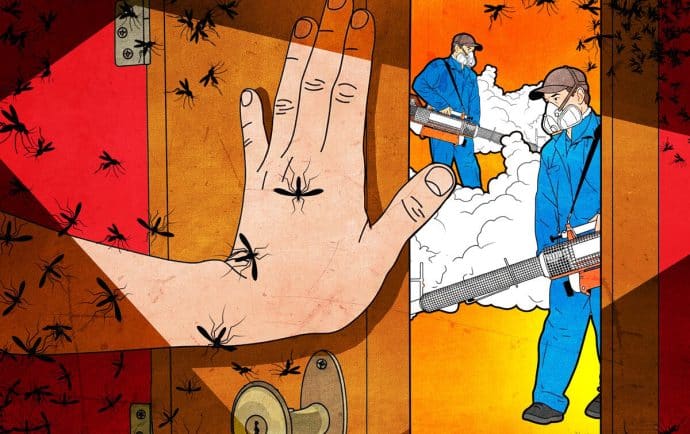 Desidia y temor ciudadano junto a fallas en controles del Minsa agravan crisis del chikungunya en Nicaragua 