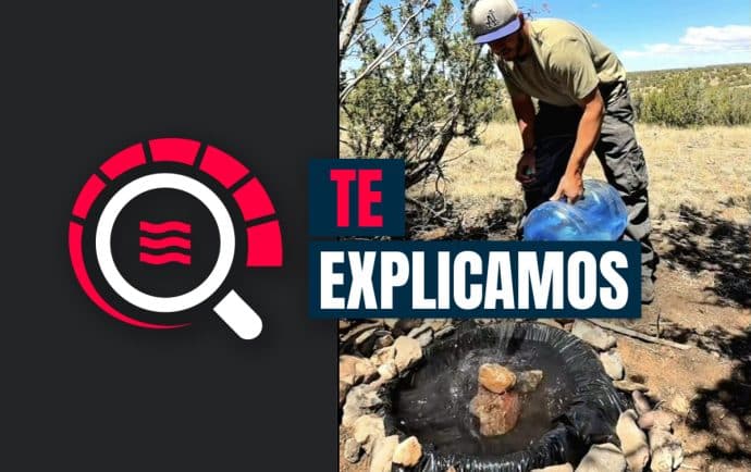 ¿Quieres ayudar a los animales silvestres durante la sequía? Darles agua y comida puede no ser la mejor solución