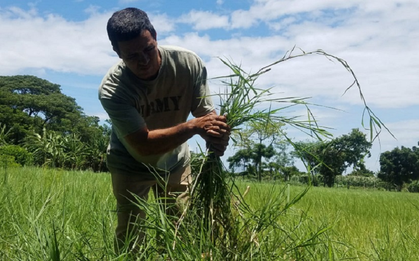 Cambio climático amenaza la salud y la economía de Nicaragua, advierte informe