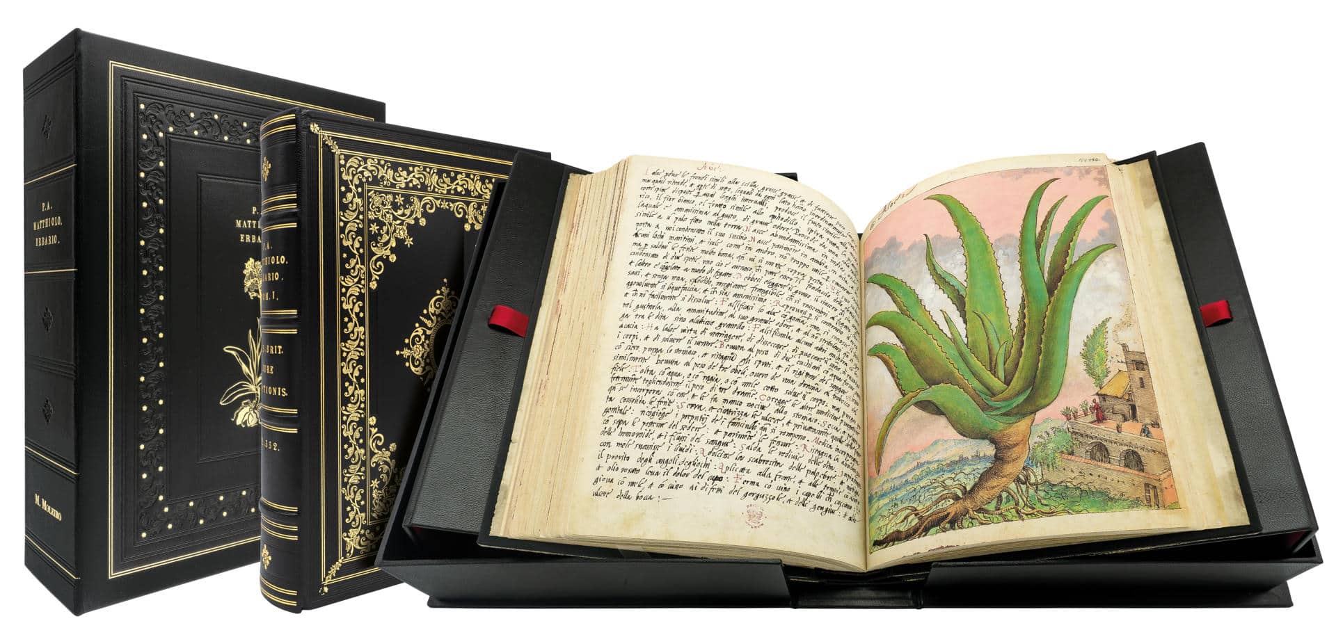 Manuscritos iluminados y tesoros bibliográficos se exhiben en la FIL Monterrey